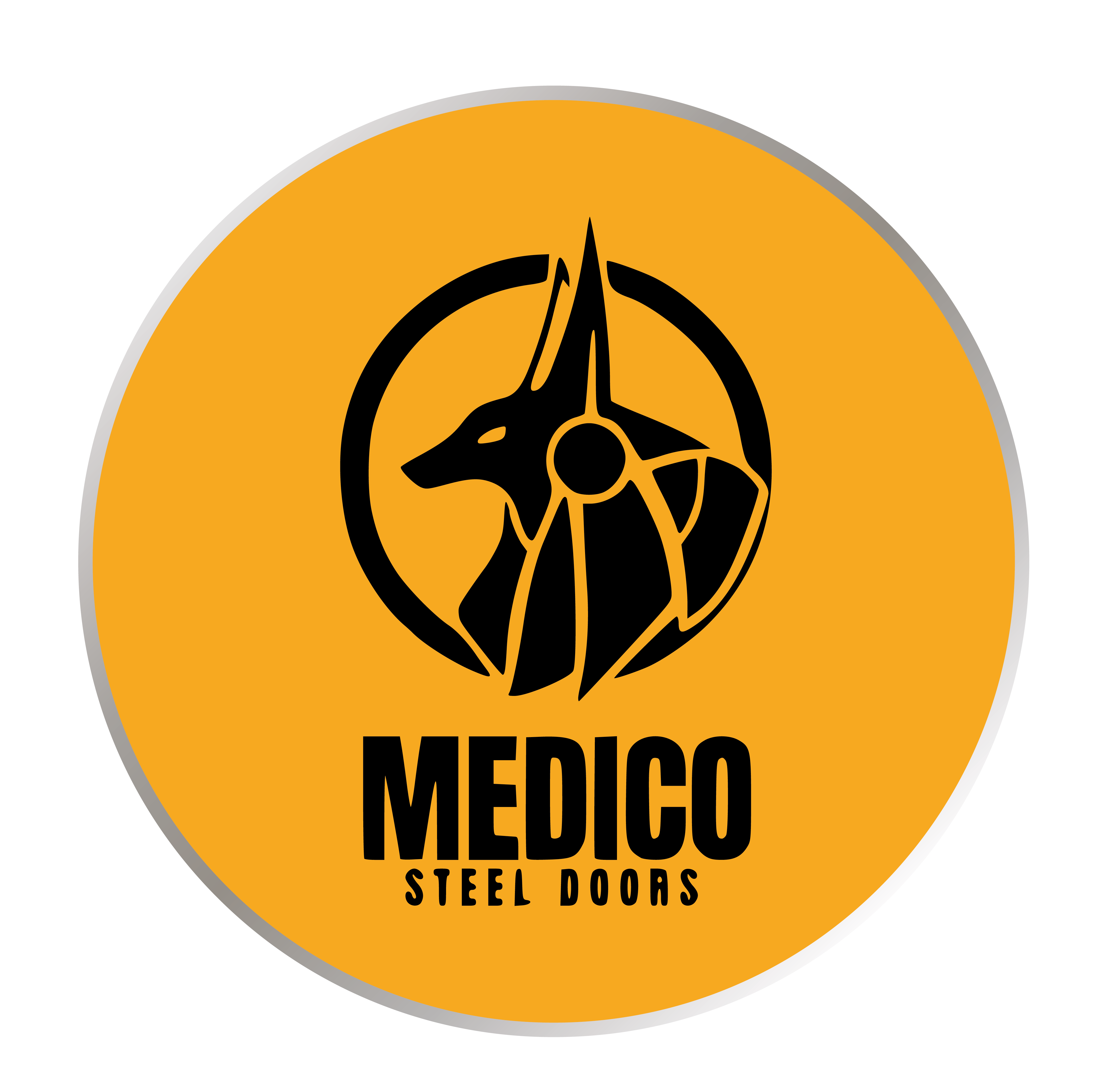 Model MED 73-2M - Medico Steel Door - Medico Steel Door